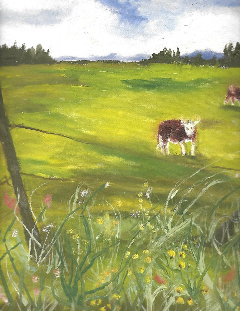 Cow in field - oil